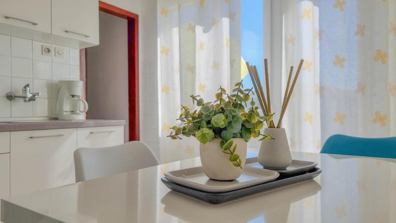 Ester Novigrad  Ngoại thất bức ảnh